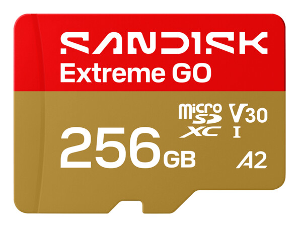 Carte microSD Extreme GO 256 Go UHS-I U3 V30 A2