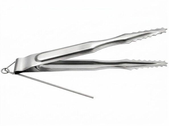 Pince à charbon en acier inoxydable fournie avec l'appareil