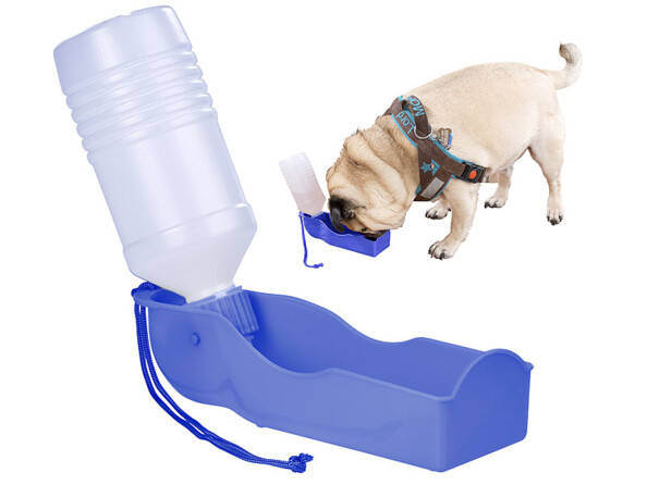 Mis en situation du distributeur d'eau nomade pour chien