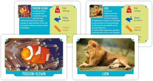 Cartes animalières recto verso du jeu Incroyables Animaux Clementoni avec poisson-clown