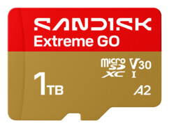 Carte microSDXC SanDisk Extreme GO 1 To UHS-I