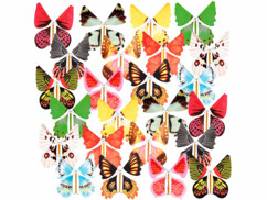 Lot de 24 papillons géants en papier