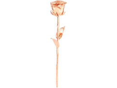 véritable rose plaqué or rose 24 carats idee cadeau femme st valentin
