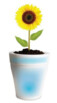 pot de fleur lumineux avec led à couleurs changeantes 19 cm