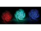 Roses flottantes à LED