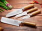 Set de 4 couteaux de cuisine en inox