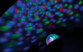Boule disco avec effets lumineux LED