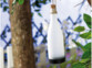 Lampe solaire à LED format "message dans une bouteille" de la marque Lunartec suspendue à un arbre par le biais de sa cordelette