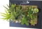 Tableau végétal avec plantes artificielles - 31 x 25 cm