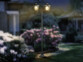 Mise en situation du lampadaire éclairant un jardin dans l'obscurité d'une lumière blanc chaud à côté de deux arbustes en fleurs