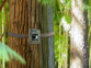 Caméra nature HD WK-420 avec détection de mouvement, vision nocturne et minuteur