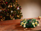 Couronne de l'Avent coloris doré posée sur une table de salon en bois à côté de noix entières devant un sapin de Noël décoré de guirlandes lumineuses et décorations de Noël
