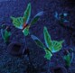 Décoration de jardin solaire à LED ''Papillon lumineux''
