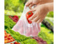 9 filets pour fruits et légumes en matériaux recyclés