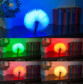 Lampe d'ambiance design livre à LED 5 couleurs 0,2 W