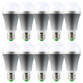 10 ampoules LED Blanc froid E27