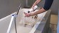 Toilettage d'un chien type bichon dans une baignoire d'une salle de bains par une femme tenant dans sa main le produit nettoyant et le bras de support fixé à la baignoire par ventouse tenant le pommeau de douche de la baignoire dans un de ses inserts