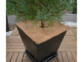 3 nattes de coco carrées antigels pour plantes 38 x 38 cm mise en situation sur un pot