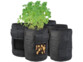 5 sacs de culture 10 litres en feutre de la marque Royal Gardineer avec plants de pommes de terre dans un sac avec trappe ouverte