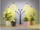 Lampe horticole flexible 360° à 4 cols de cygne éclairant 4 pots de fleurs de 4 lumières LED jaunâtres