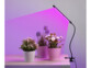 Lampe mobile LED éclairant des plantes en pots d'une lumière violette
