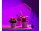 Lumière colorée teintée violet illuminant 3 aromates en pots