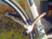 Antivol en acier solide et résistant aux intempéries fié au cadre et à la roue d'un vélo avec serrure à clé par Infactory